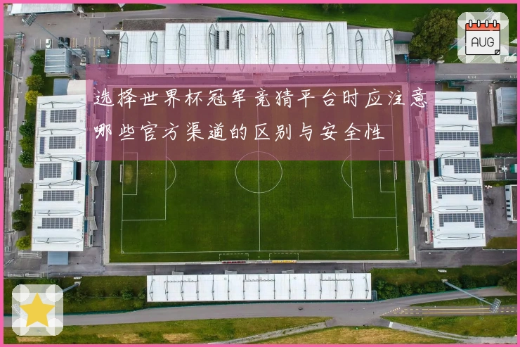 选择世界杯冠军竞猜平台时应注意哪些官方渠道的区别与安全性