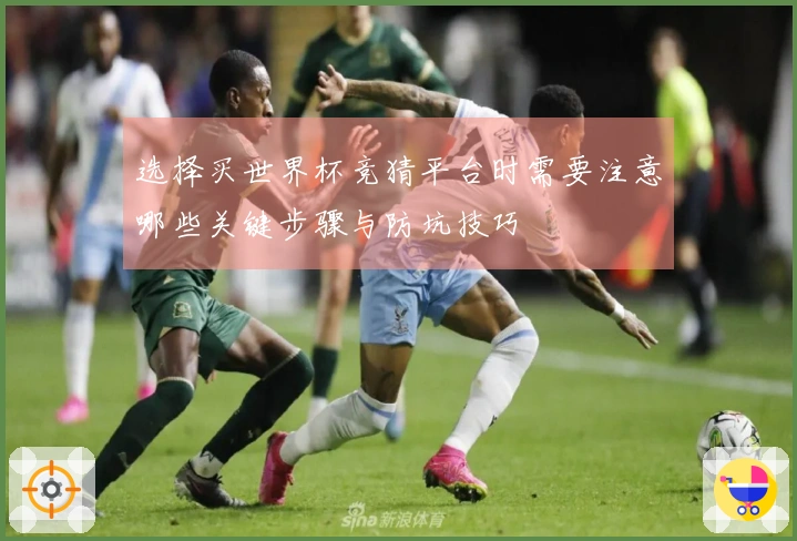 选择买世界杯竞猜平台时需要注意哪些关键步骤与防坑技巧