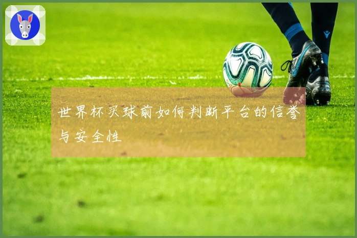 世界杯买球前如何判断平台的信誉与安全性