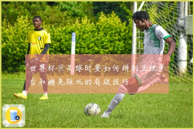 世界杯买足球时要如何辨别正规平台和避免踩坑的有效技巧