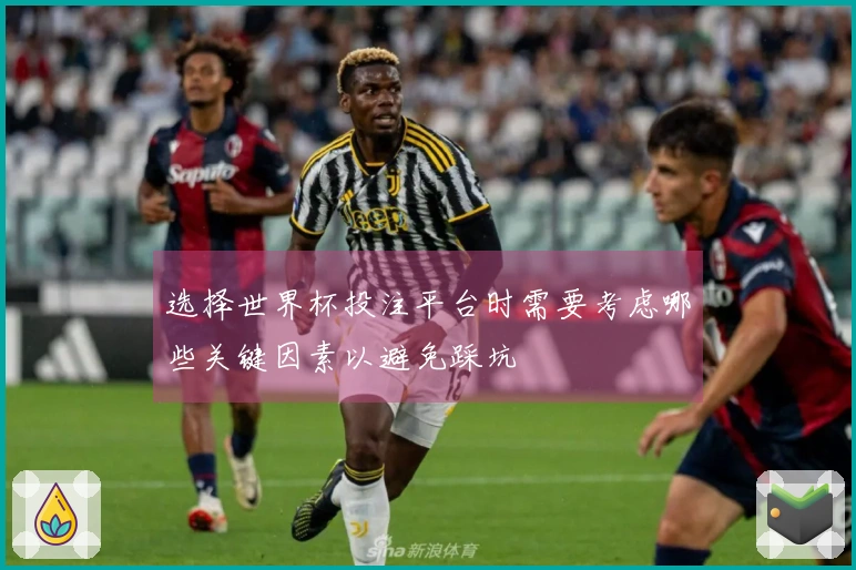 选择世界杯投注平台时需要考虑哪些关键因素以避免踩坑