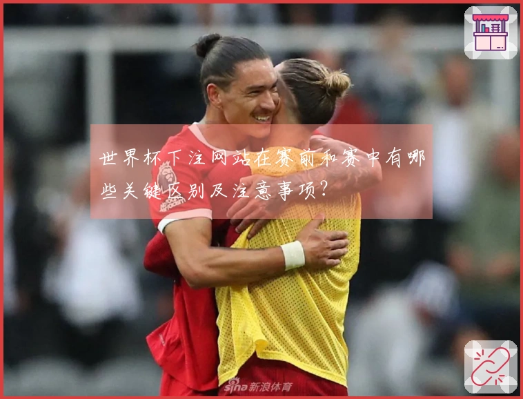 世界杯下注网站在赛前和赛中有哪些关键区别及注意事项？