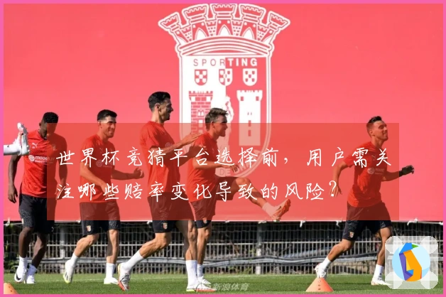 世界杯竞猜平台选择前，用户需关注哪些赔率变化导致的风险？