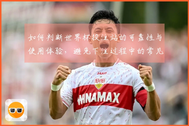 如何判断世界杯投注站的可靠性与使用体验，避免下注过程中的常见问题