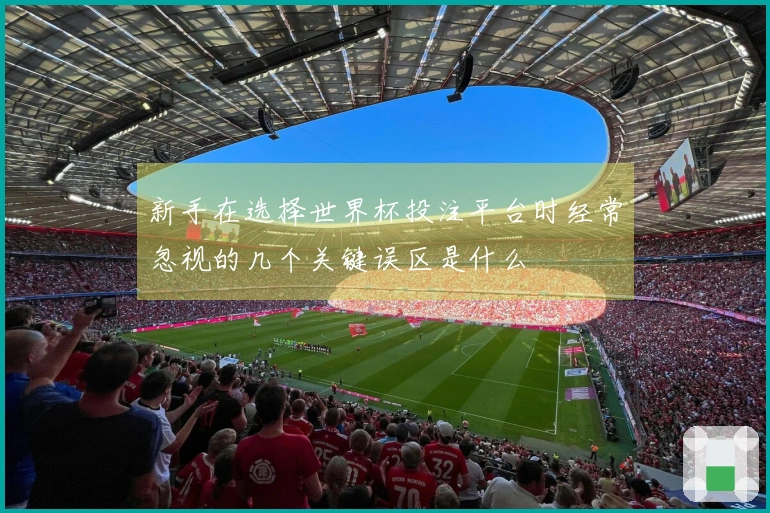 新手在选择世界杯投注平台时经常忽视的几个关键误区是什么