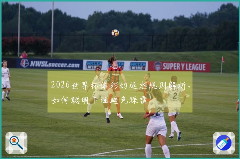 2026世界杯体彩的返水规则解析，如何聪明下注避免踩雷