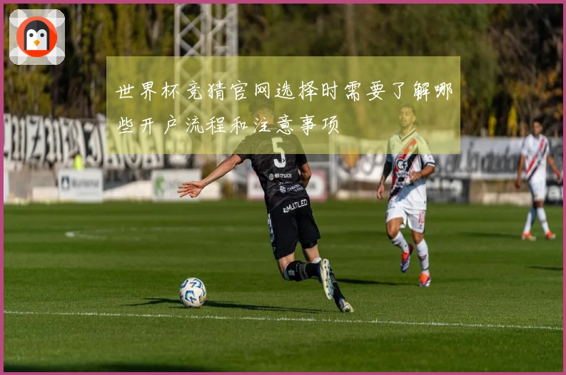 世界杯竞猜官网选择时需要了解哪些开户流程和注意事项