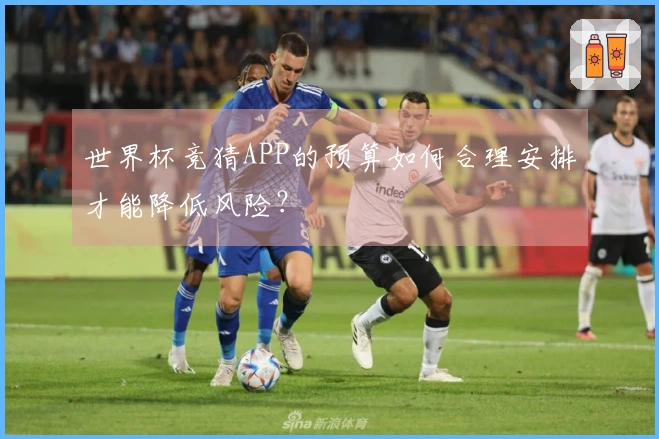 世界杯竞猜APP的预算如何合理安排才能降低风险？