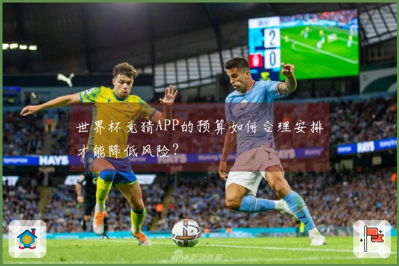 世界杯竞猜APP的预算如何合理安排才能降低风险？