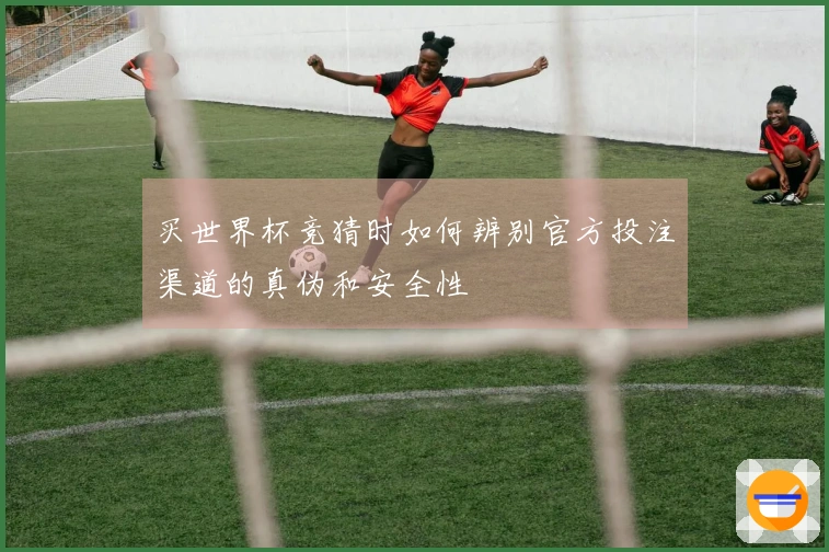 买世界杯竞猜时如何辨别官方投注渠道的真伪和安全性