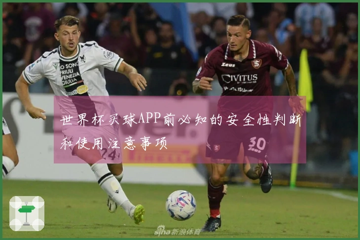 世界杯买球APP前必知的安全性判断和使用注意事项