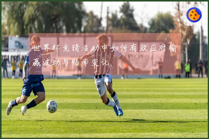 世界杯竞猜活动中如何有效应对输赢波动与赔率变化