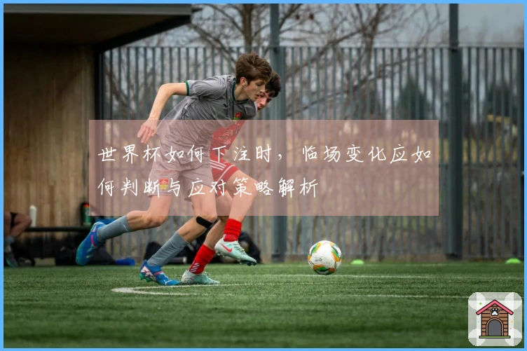 世界杯如何下注时，临场变化应如何判断与应对策略解析