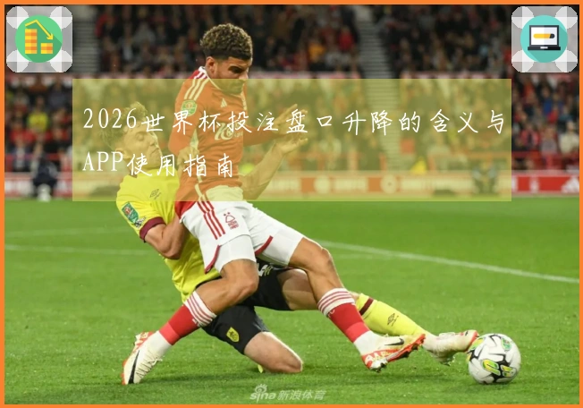 2026世界杯投注盘口升降的含义与APP使用指南