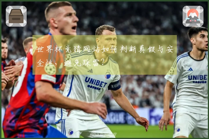 世界杯竞猜网站如何判断真假与安全性，避免踩雷？
