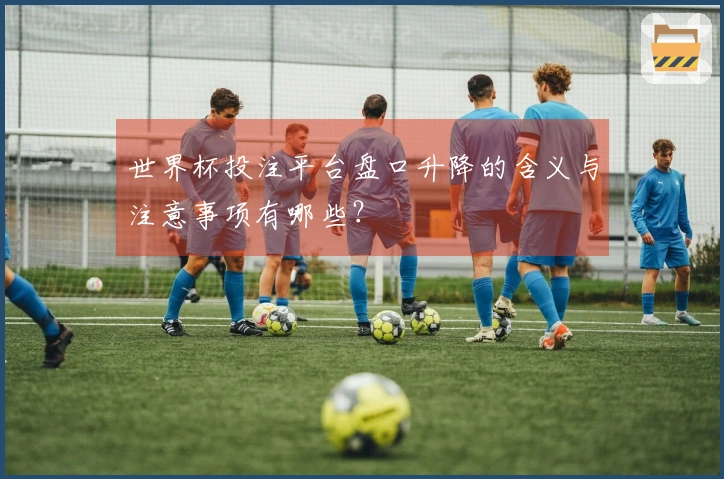 世界杯投注平台盘口升降的含义与注意事项有哪些？