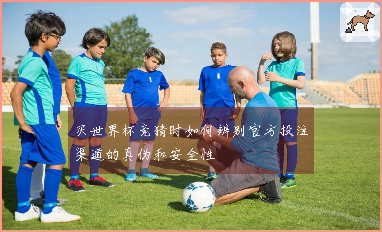 买世界杯竞猜时如何辨别官方投注渠道的真伪和安全性