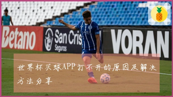 世界杯买球APP打不开的原因及解决方法分享