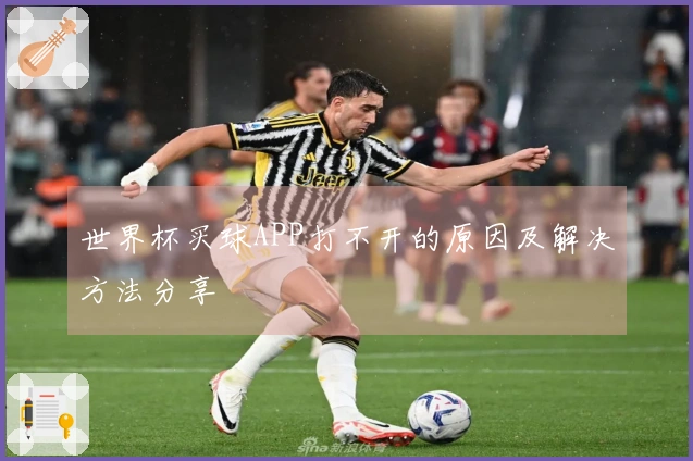世界杯买球APP打不开的原因及解决方法分享
