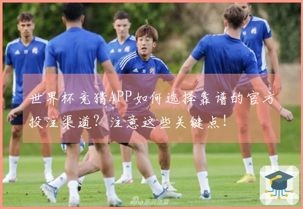 世界杯竞猜APP如何选择靠谱的官方投注渠道？注意这些关键点！