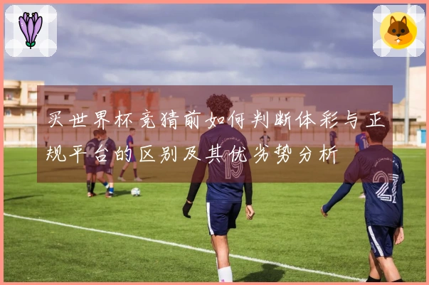 买世界杯竞猜前如何判断体彩与正规平台的区别及其优劣势分析
