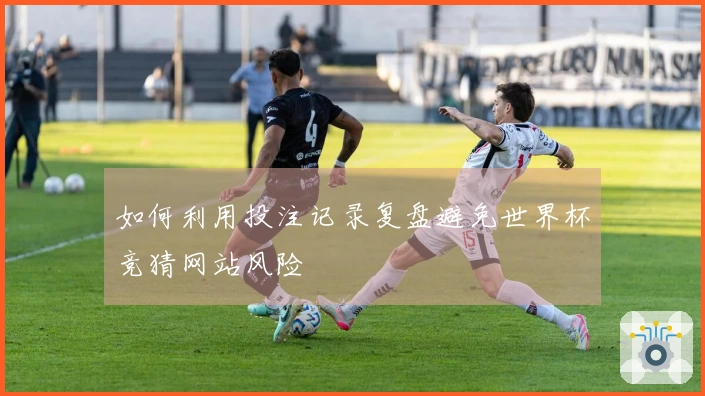 如何利用投注记录复盘避免世界杯竞猜网站风险
