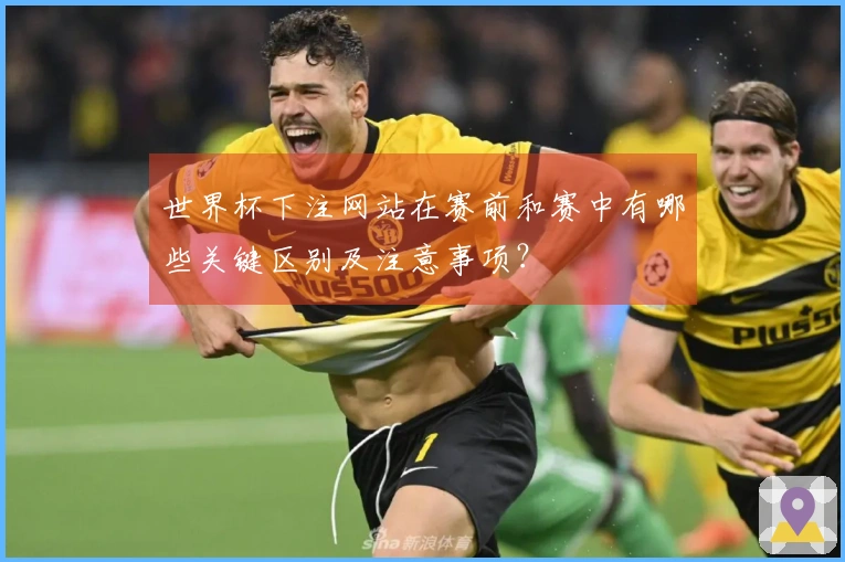 世界杯下注网站在赛前和赛中有哪些关键区别及注意事项？