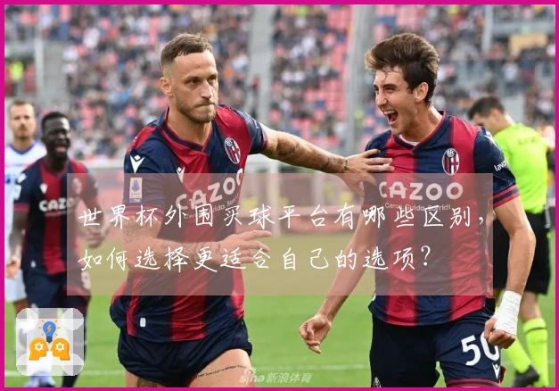 世界杯外围买球平台有哪些区别，如何选择更适合自己的选项？
