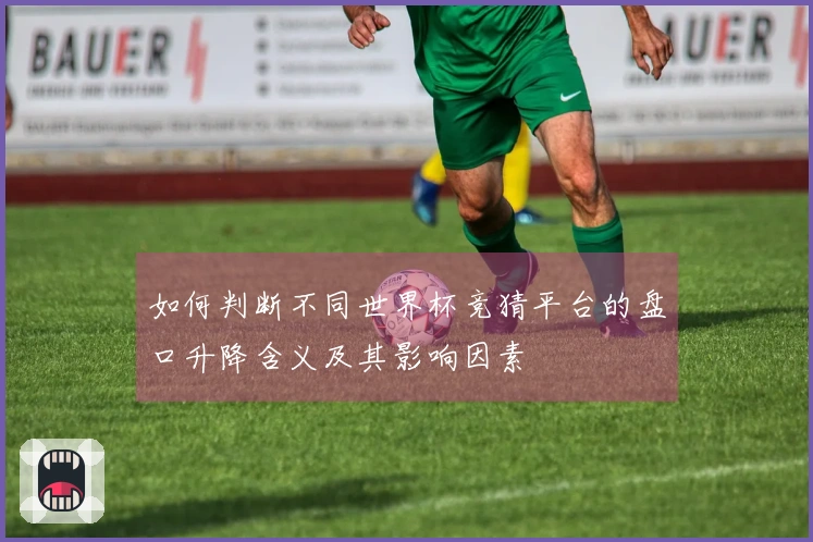 如何判断不同世界杯竞猜平台的盘口升降含义及其影响因素